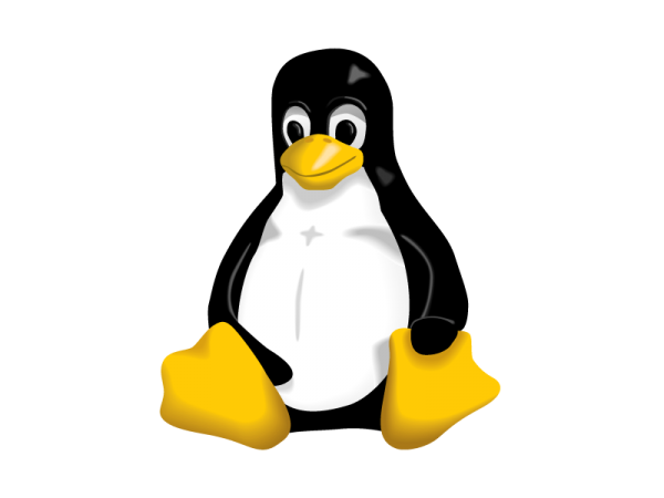 Linux Backup Setup